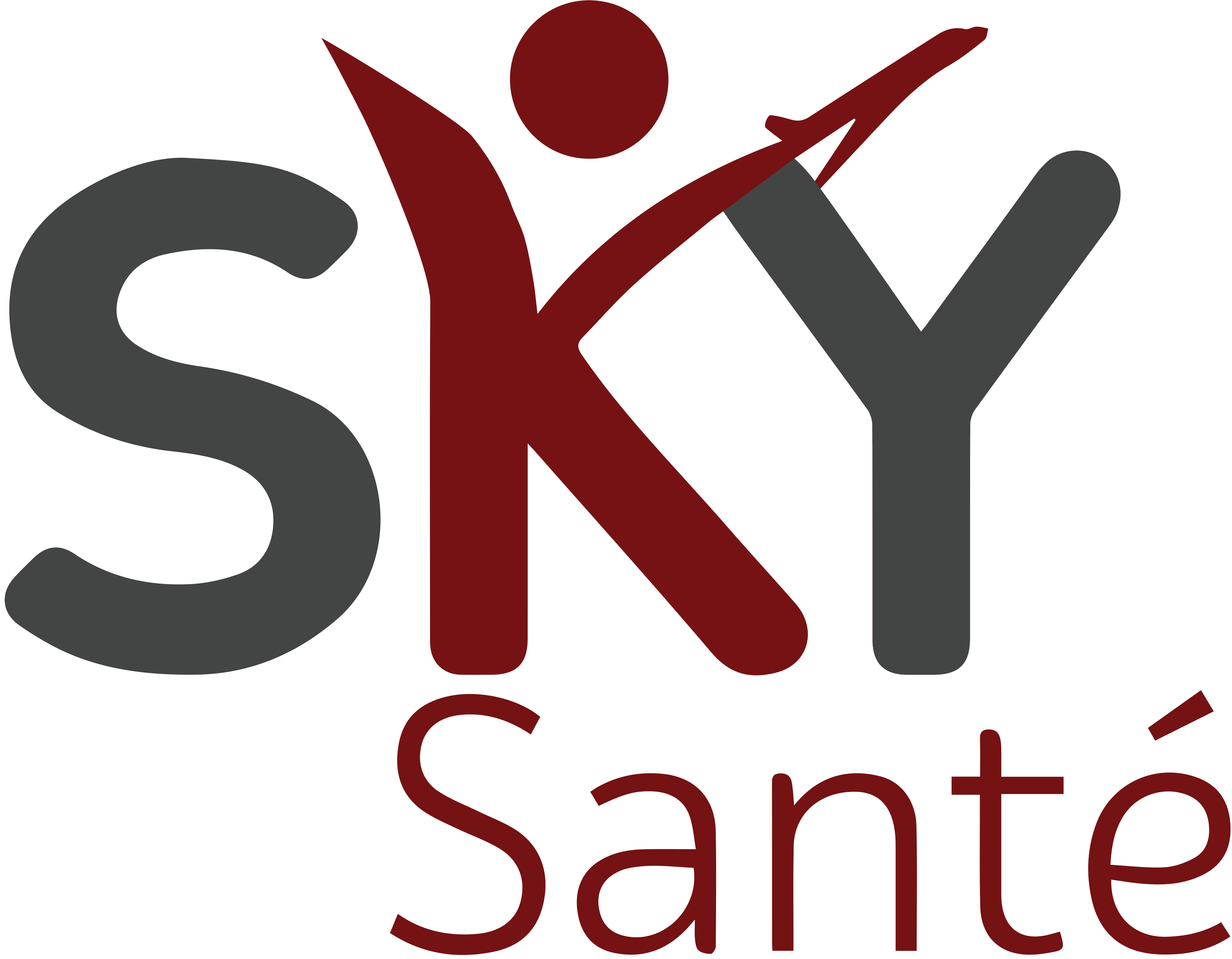Sky Santé